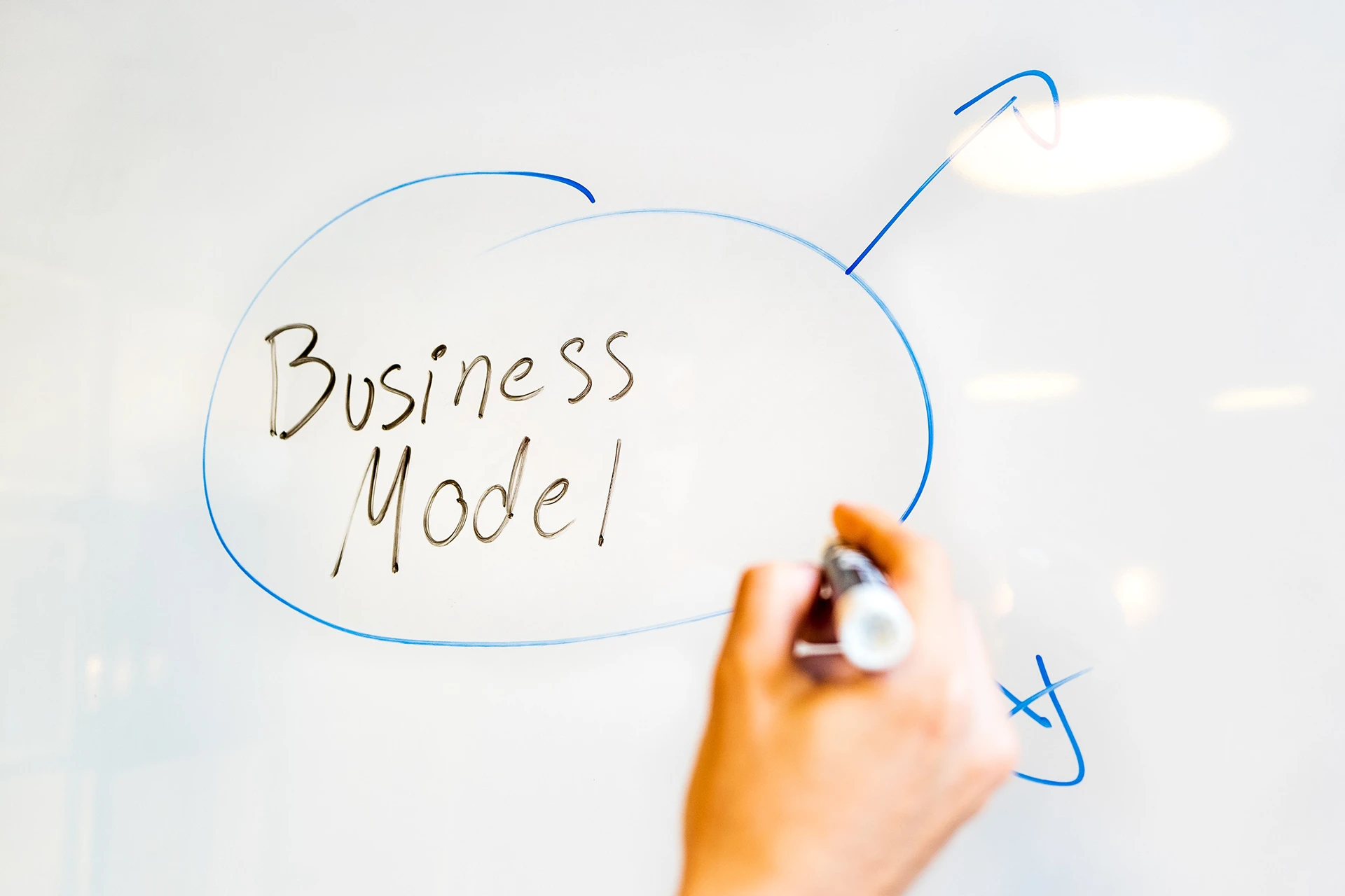 Advocacia Empreendedora CANVAS Seu Modelo de Negócios desenhado literalmente
