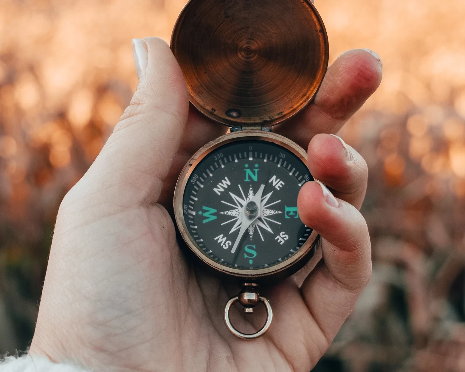 Advocacia Empreendedora Propósito como é a sua alma empresarial